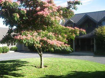 Heron Hill Hotel Kerikeri Esterno foto